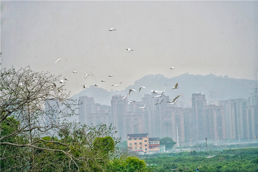 江南水乡旅游攻略四天三晚,温州旅行攻略四天三夜