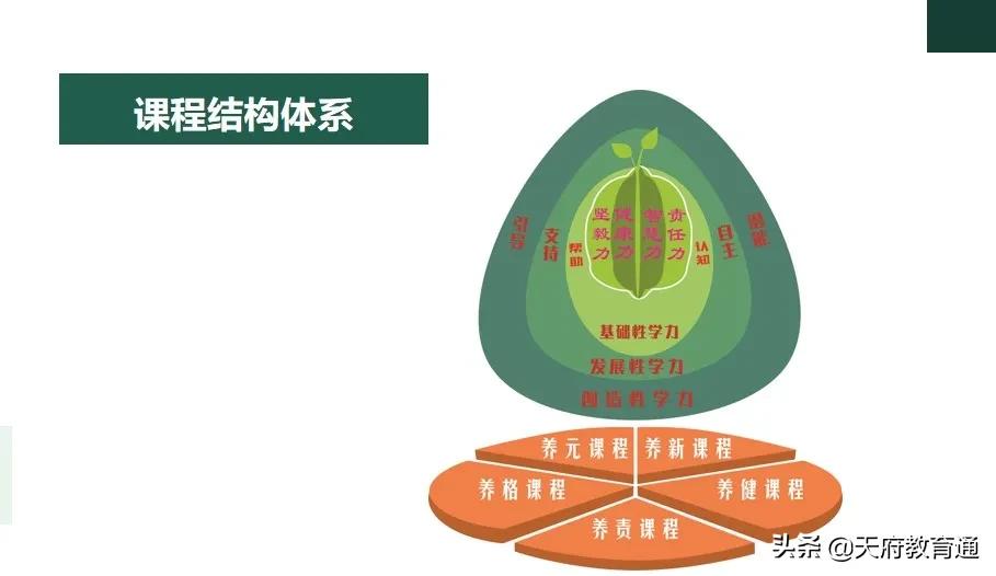 天府新区教育发展,天府新区天府学校