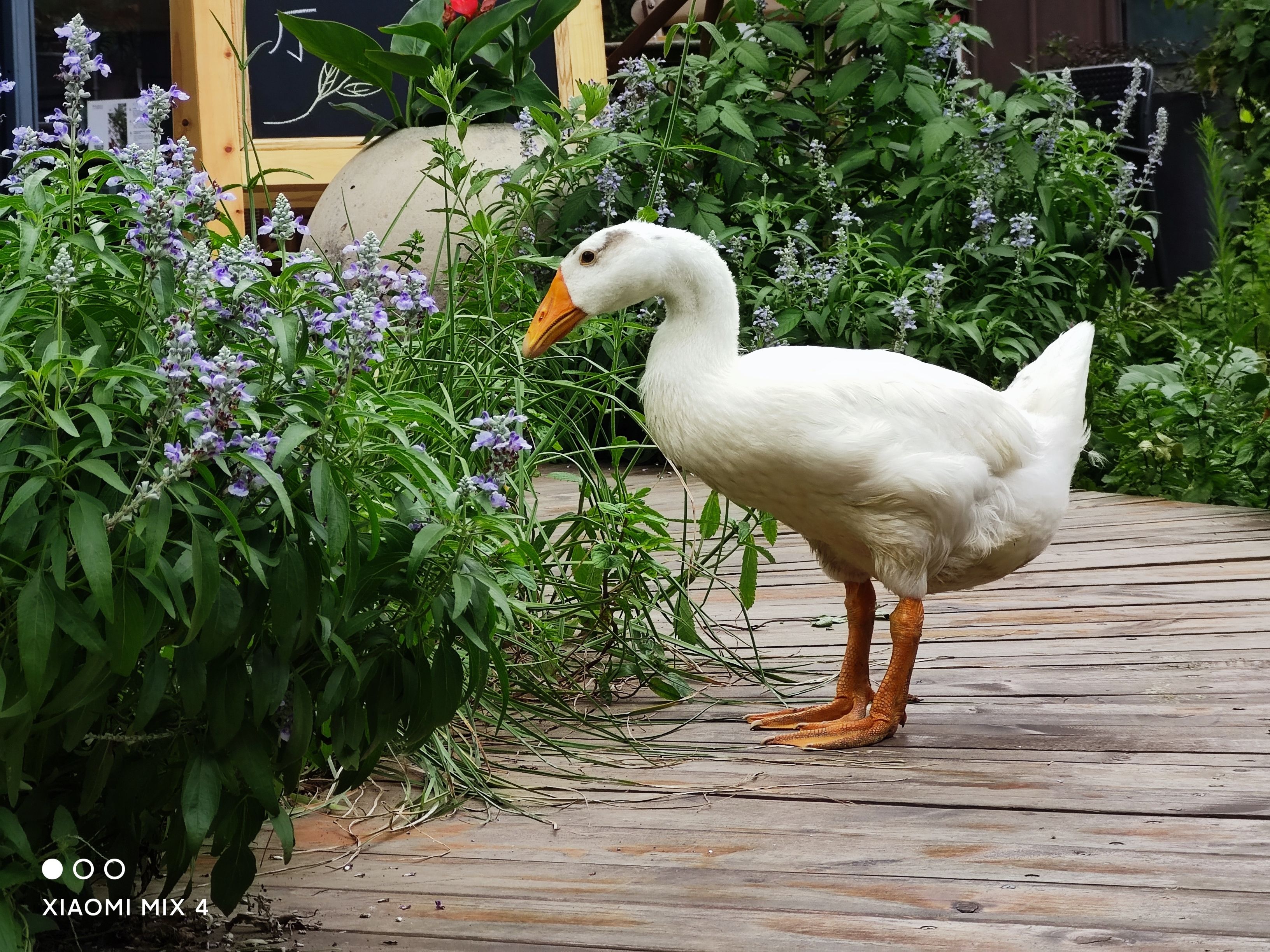 小米mix4是小米最好的吗,小米mix4评测把未来藏起来