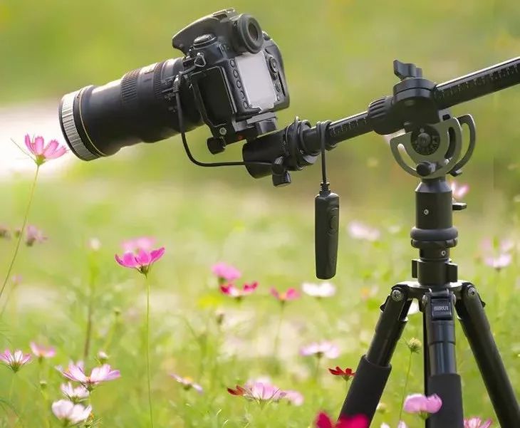 70-200f4能拍啥,70200套件安装视频