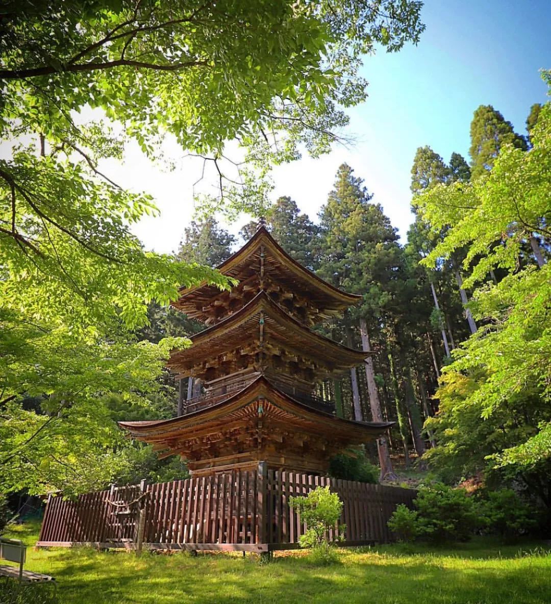 日本长野县旅行,日本长野赏樱旅游攻略