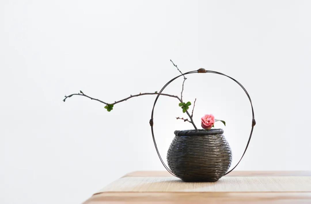 板材握钉力试验,板材握钉力试验图片