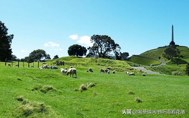 13天自驾新西兰，这个不缺蓝天与绿草的国度无比的热情富有生命力
