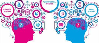 足彩基本面分析,足彩的基本分析