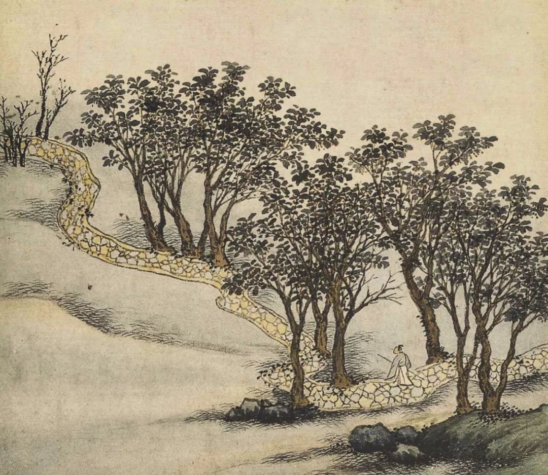 奉橘帖完整版,奉橘三百枚霜未降意思