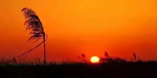 上海免费景点大全最新攻略,上海23个免费游玩的景点攻略