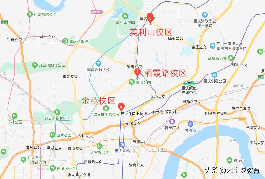 两江新区优质学区房来袭，未来发展了不起，快抢占优秀资源