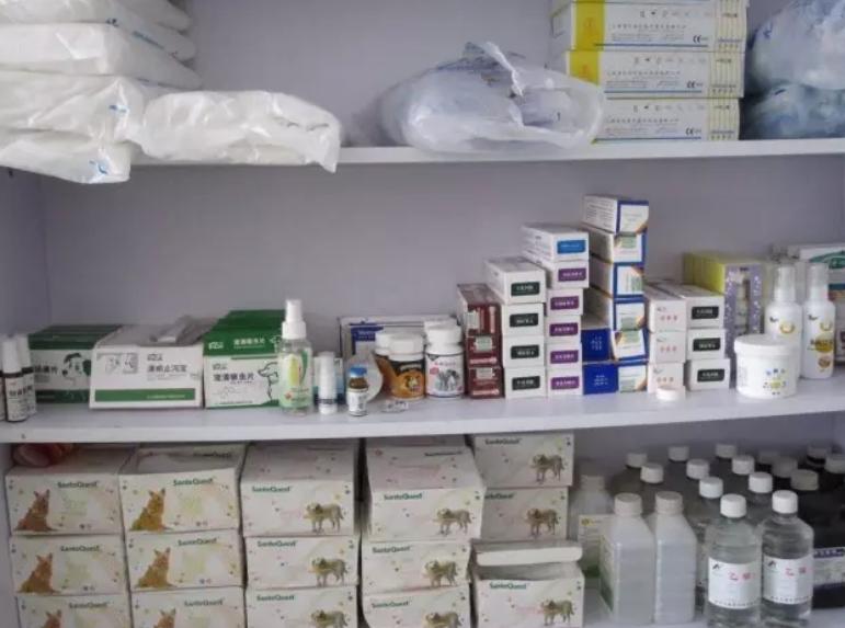 如何看待宠物看病贵,天津乖乖宠物医院看病贵吗