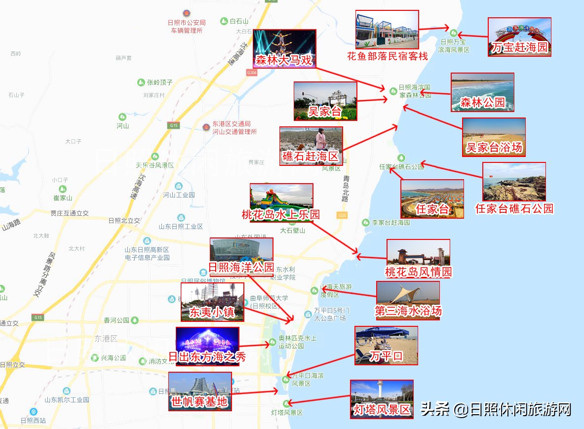 日照绿茶价格表,日照文旅