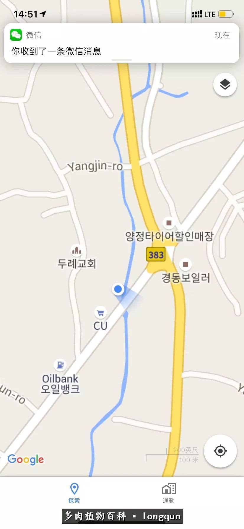 肉叔带你走遍韩国多肉大棚,记一次精彩的采摘之旅