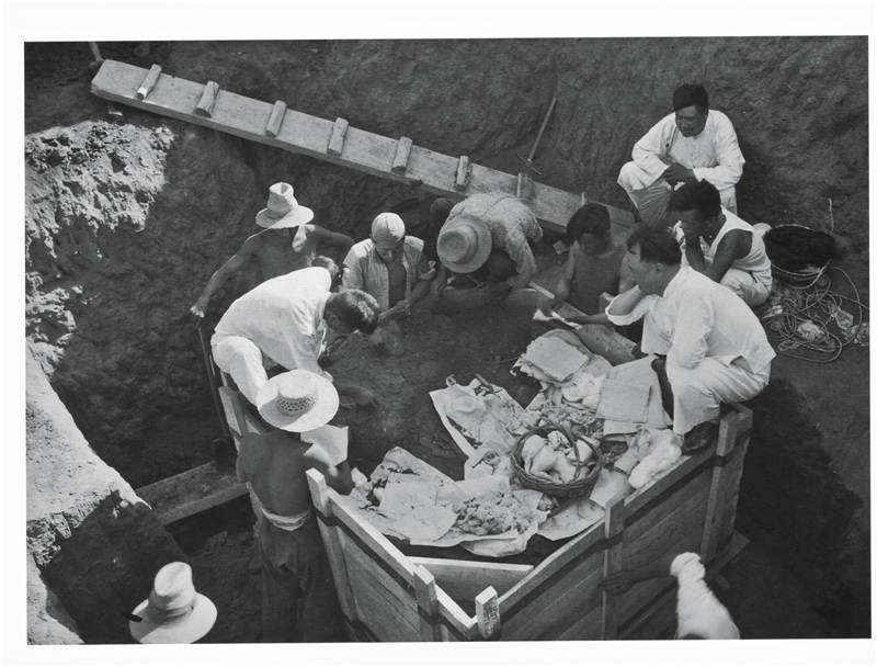 甲骨文为什么清末才被发现,为什么甲骨文是最厉害的文物