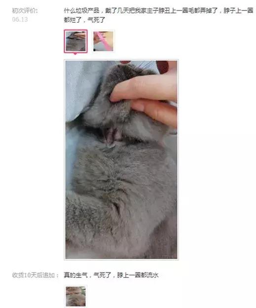 我亲手给猫戴的某款驱虫项圈，差点要了猫的命