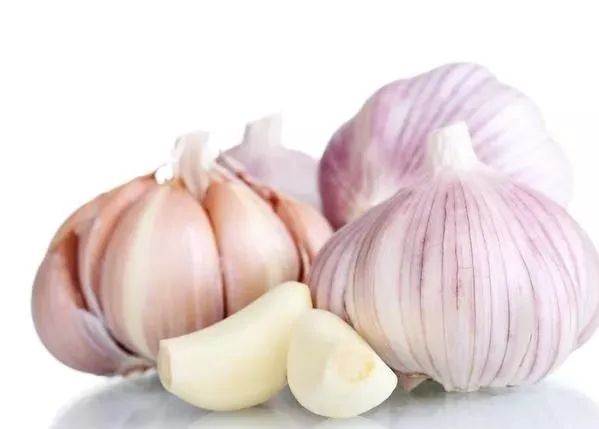 山东聊城莘县十大特产,莘县特产蔬菜是什么