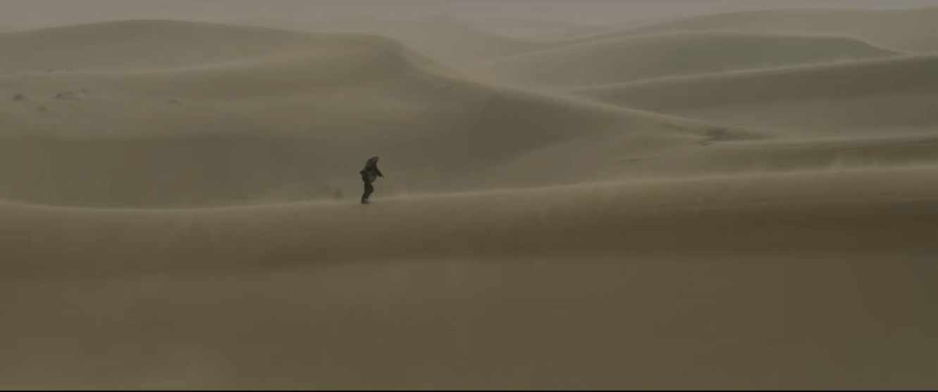 章宇宋佳演激情戏，王*源千**肉搏吴彦祖，谁能在最惨11月成为黑马