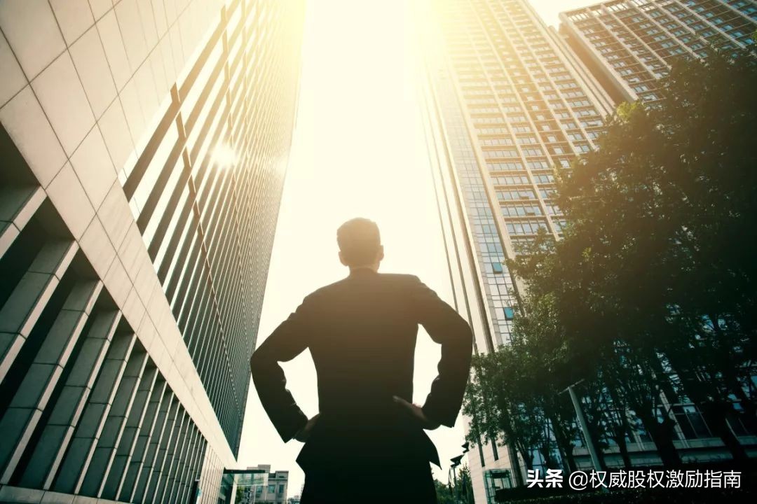 一分钟让你秒懂什么是股权激励,从零开始读懂投资书籍