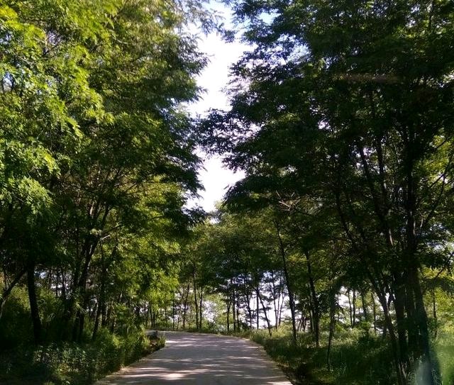 陕西十大避暑的地方,咸阳避暑旅游攻略