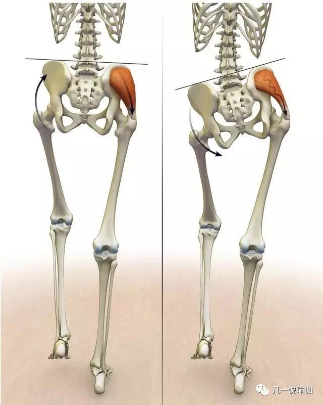 臀部宽瘪的翘臀训练教程,翘臀和臀部紧实的动作