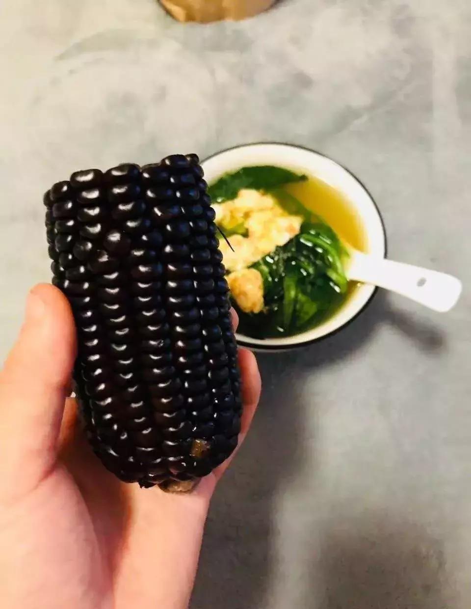 绮ゅ紡鏃╄尪鏂扮枂,鏂扮枂鐗硅壊鏃╄尪