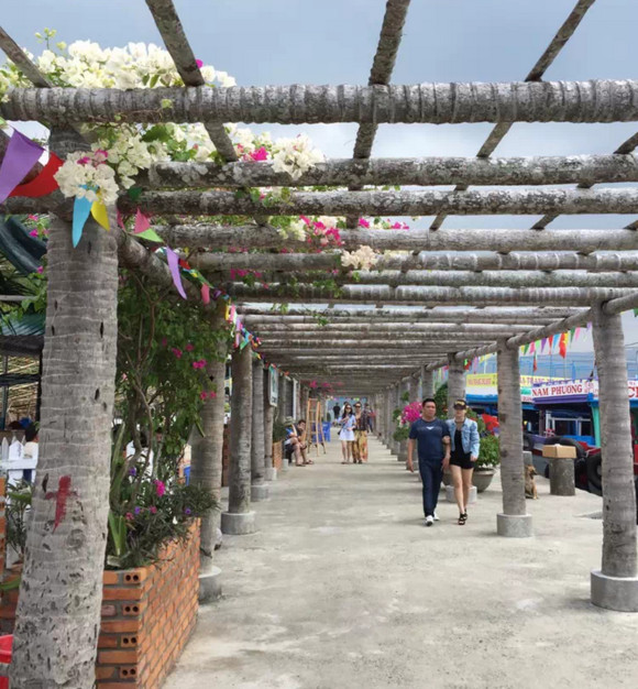 越南芽庄旅游攻略英文,越南旅游攻略芽庄跳伞