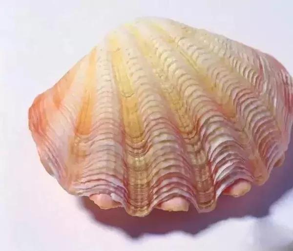 玩玉的人必备的东西,玩玉之人最深度解析