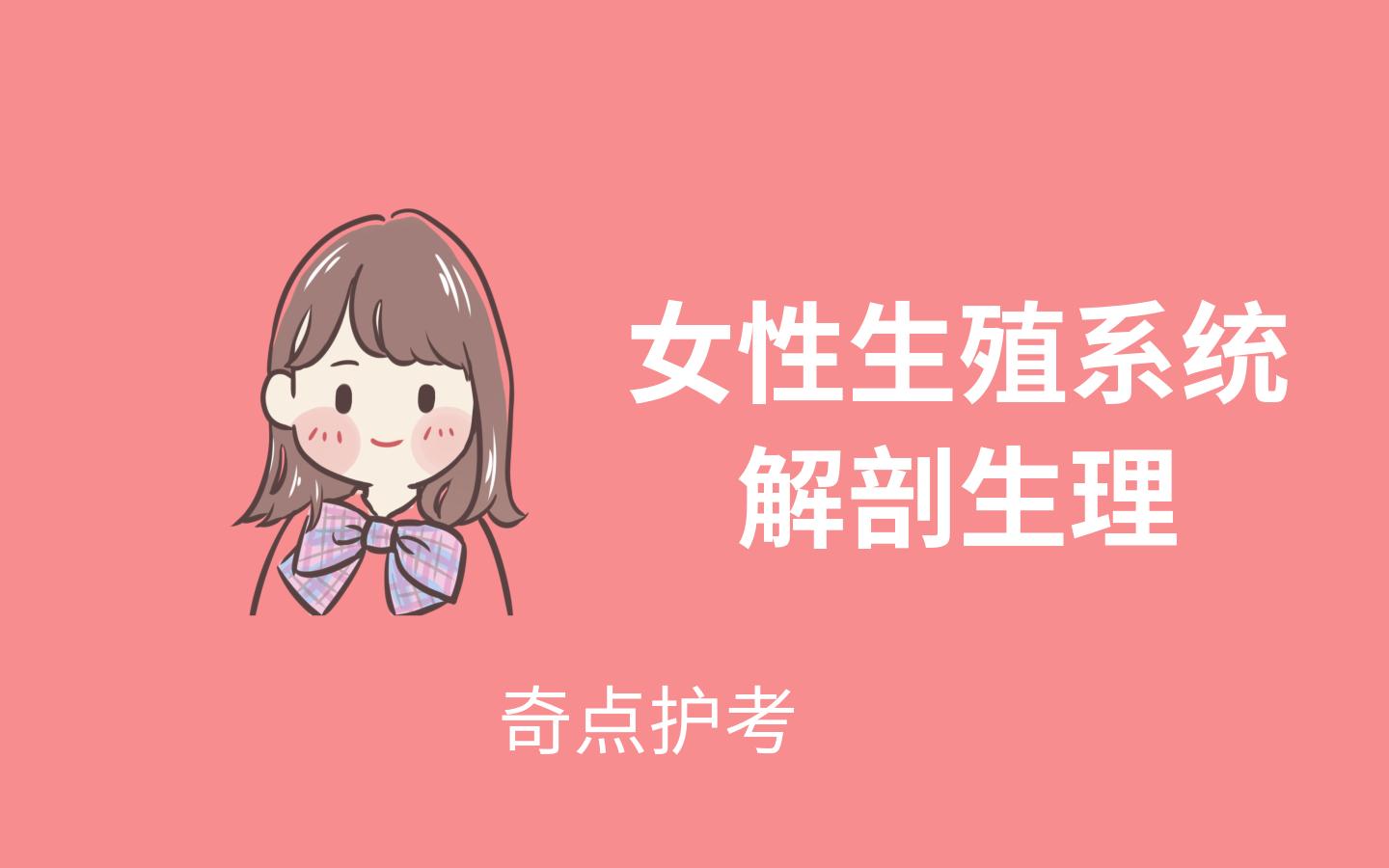护考女性生理系统解剖学习技巧,女性生理解剖护考考点