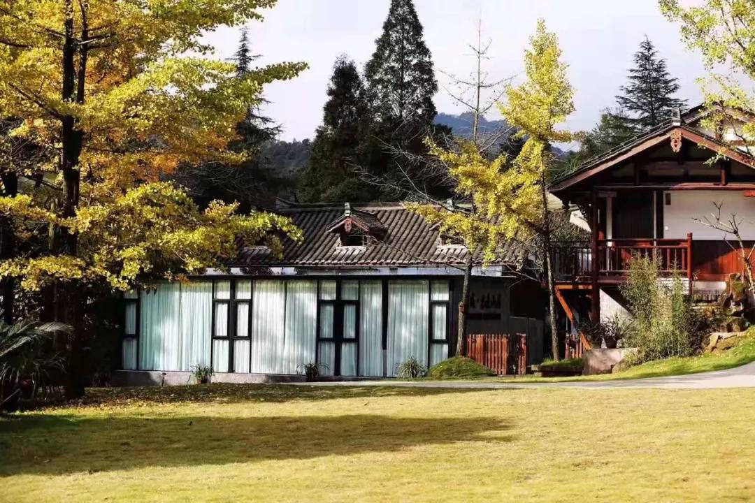 成都民宿推荐青城山,青城山花娟树屋民宿