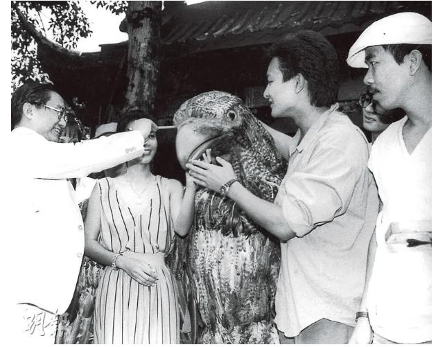 83版神雕侠侣刘德华陈玉莲完整版,陈玉莲版神雕侠侣单镜头