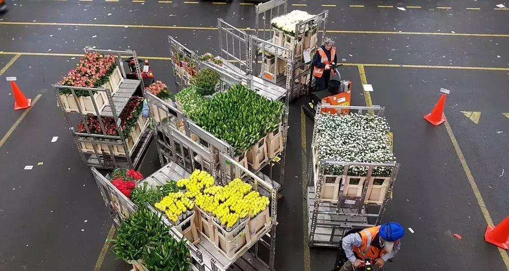 世界顶级鲜花市场,全国最大鲜花交易市场