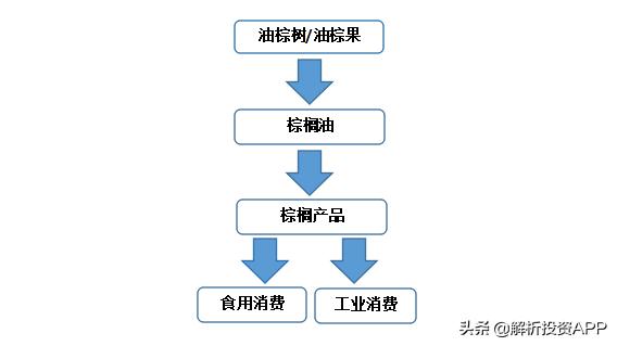 印尼和马来棕榈油产量,印尼马来棕榈油