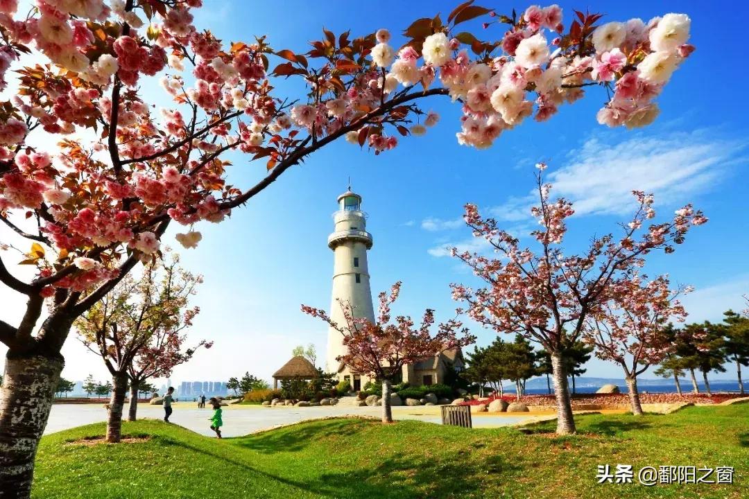 去威海之后建议去哪,去威海玩只想花5000