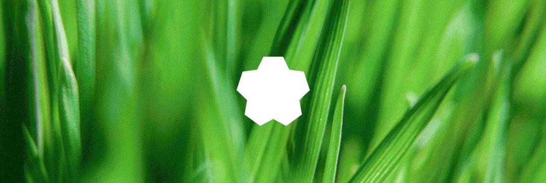 品牌视觉vi,超市品牌vi视觉设计