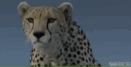 生活中的“虚领顶劲”、“腰先动”