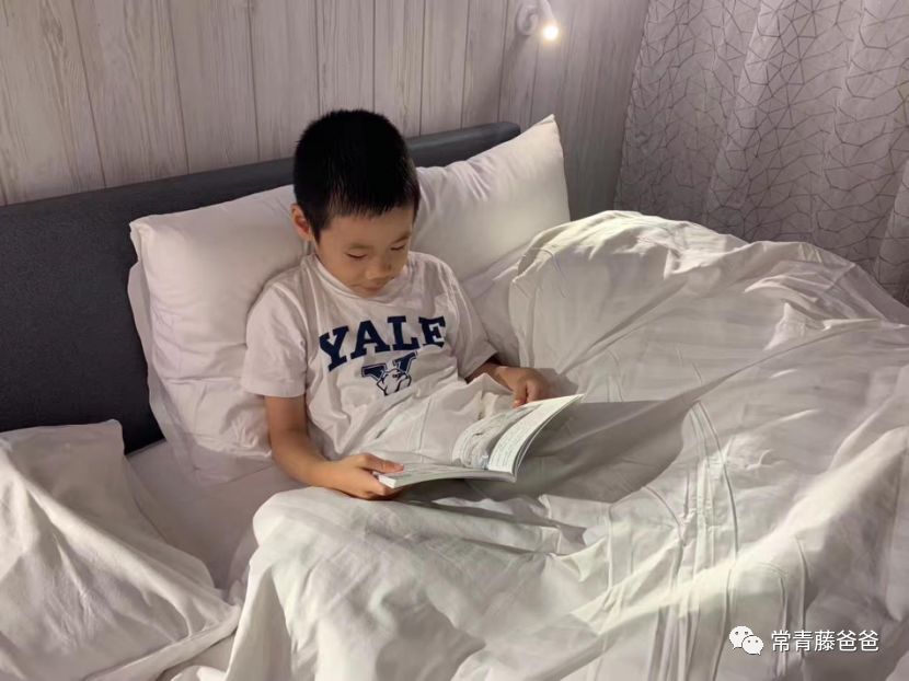 十一新加坡,十一游学新加坡