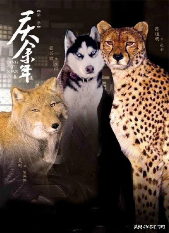 庆余年羊驼搞笑,庆余年动物搞笑图片