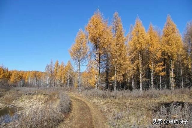 再见那年的秋天，回首多了感动，少了阑珊