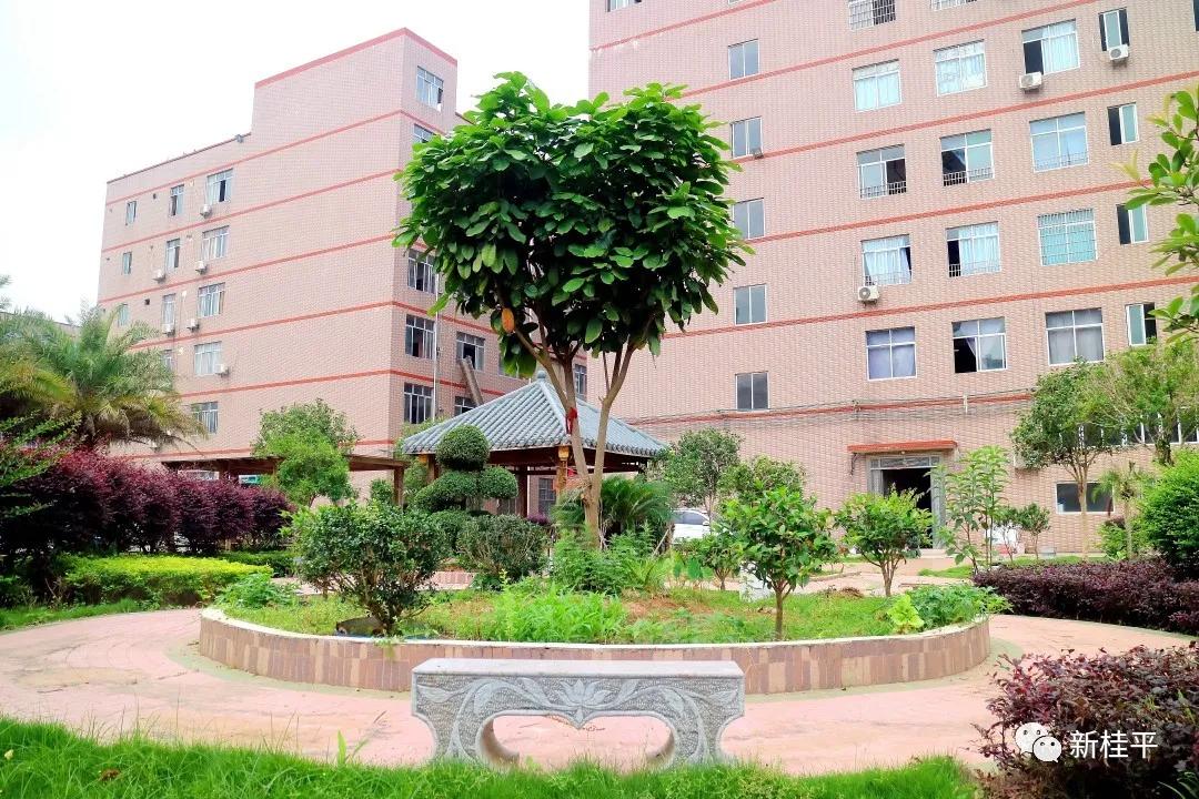 桂平市木乐镇崛起运动休闲服饰店,桂平木乐镇运动服饰小镇