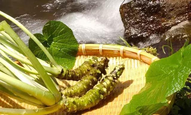 高级芥末是辣根还是山葵,芥末和辣根山葵的区别动画