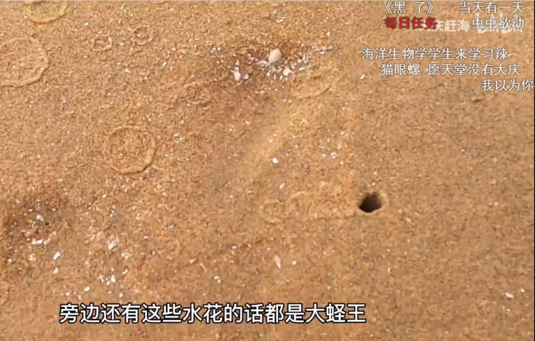 为何年轻人都在沉迷赶海视频,为什么大家都爱看赶海