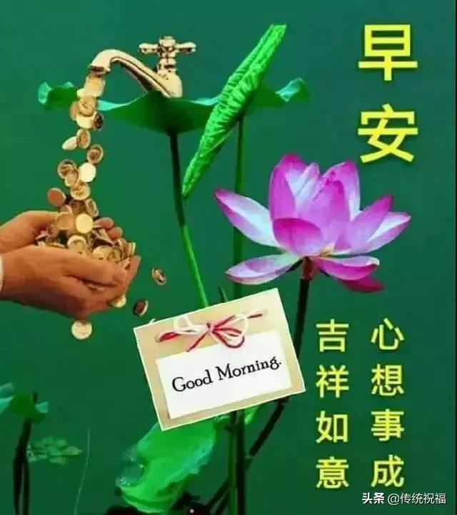 清晨早安问候语100句图片,清晨早安问候语正能量语录图片