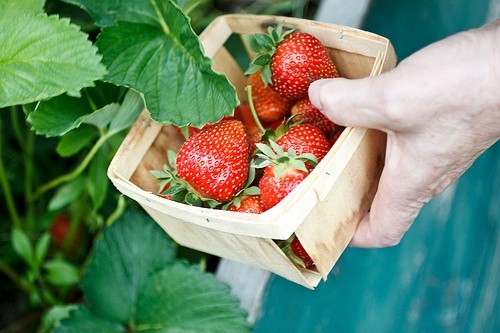 很有气质的爱情句子,有深度有品位爱情的句子简短