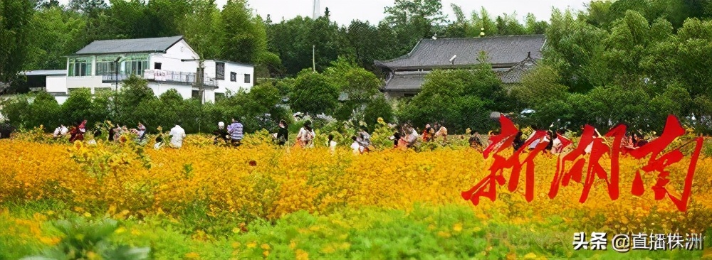 湖南日报最新新闻报道,湖南日报视频