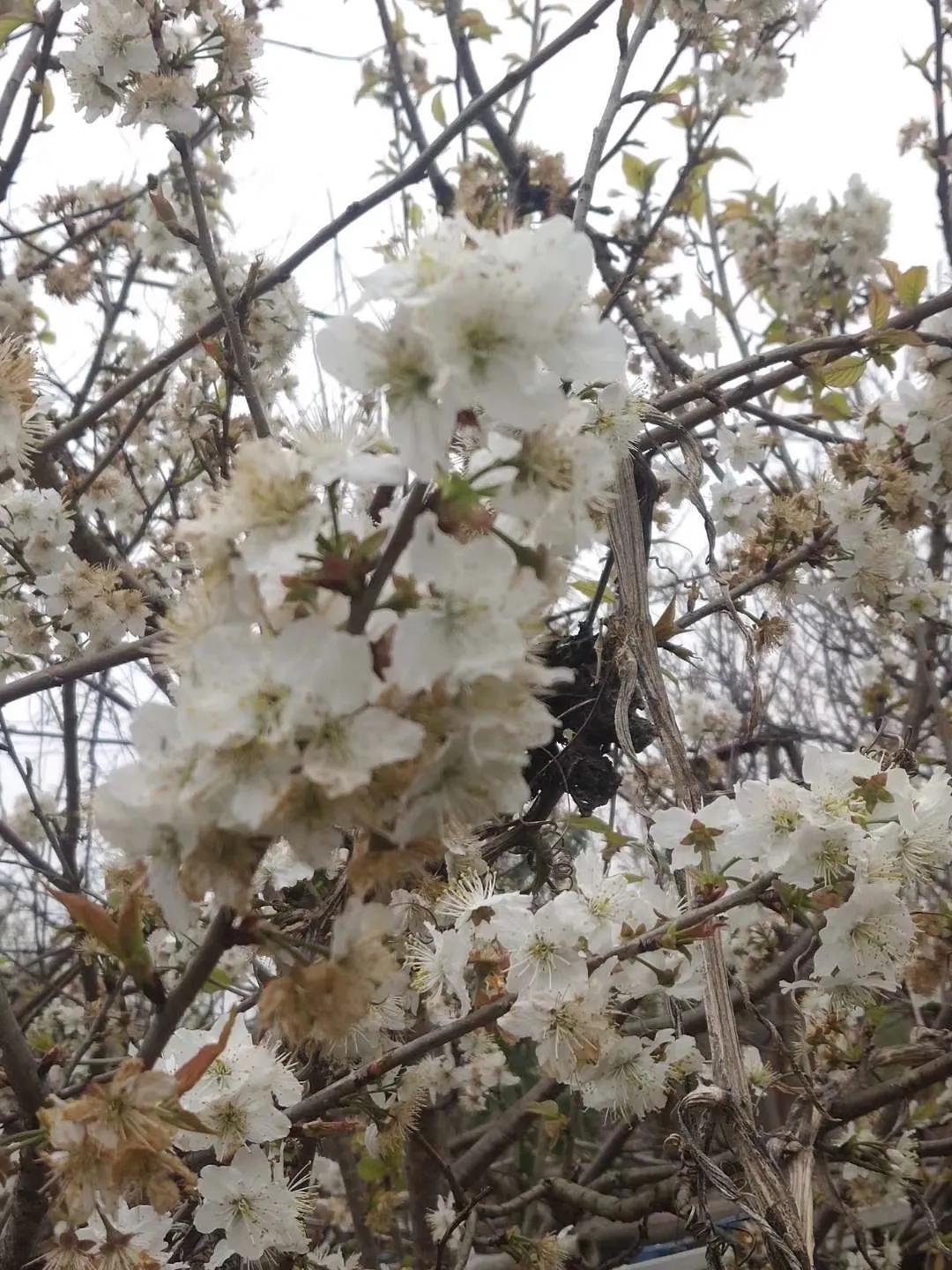 有一种缘份叫母女,有一种缘分我们要珍惜