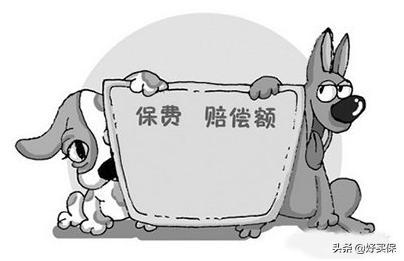 保险公司奇葩产品,保险奇葩案例