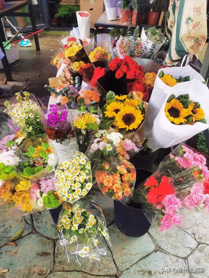 2元花盆批发清仓,2元花卉批发市场