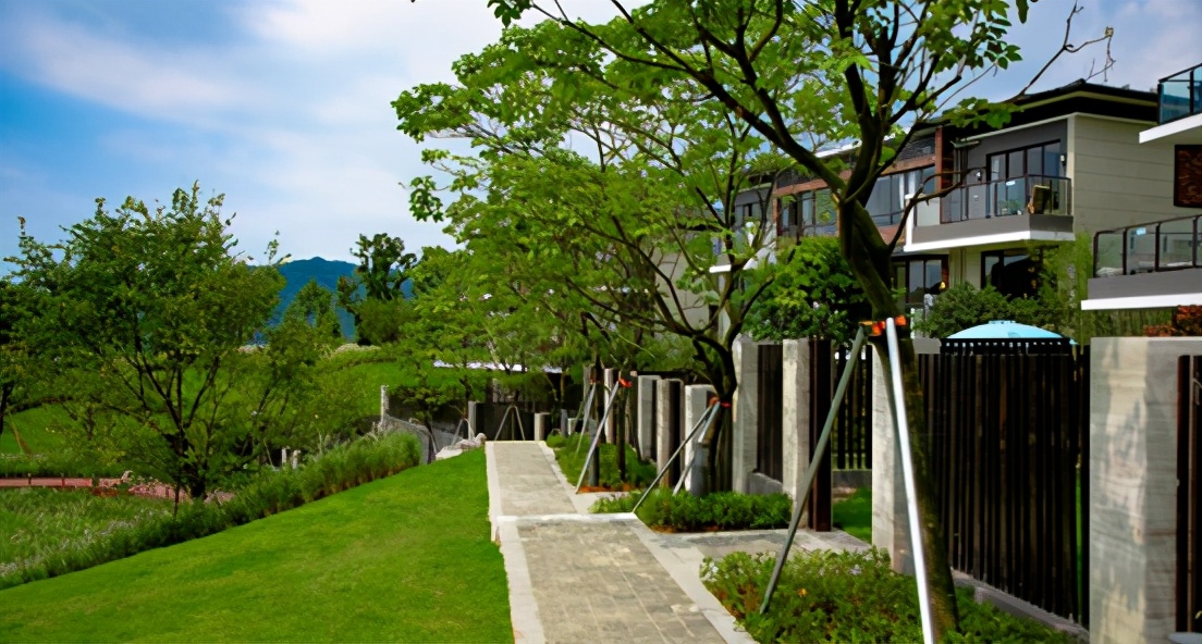 占地9200亩,光配套就7700亩!深圳东这个超级神盘,才配叫生活