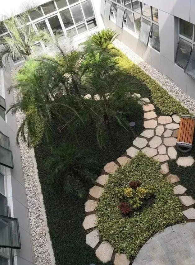 南京一中江北新区分校简介,南京一中江北分校在南京排名