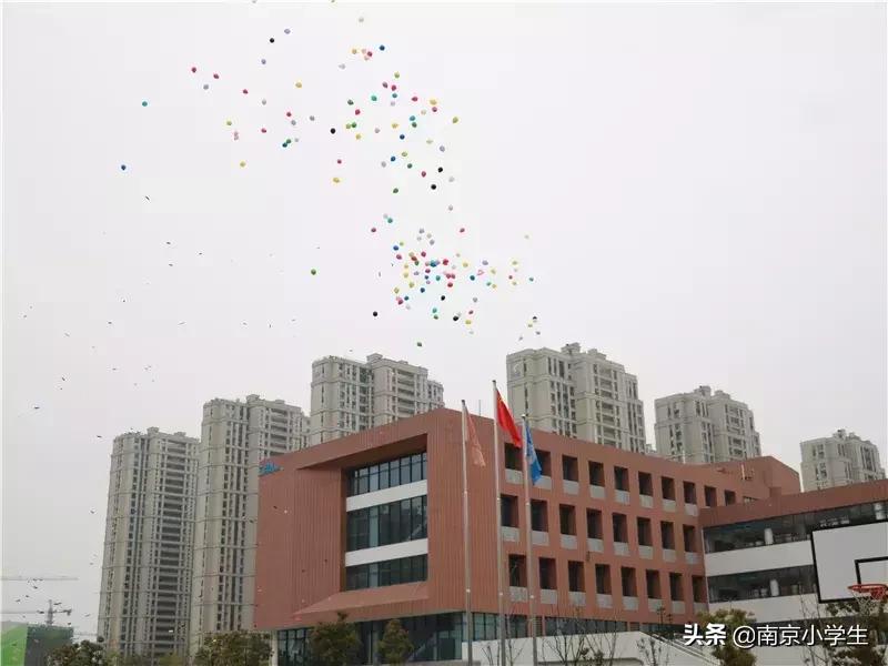 第七届校园足球联赛,2024建邺区校园足球春季联赛