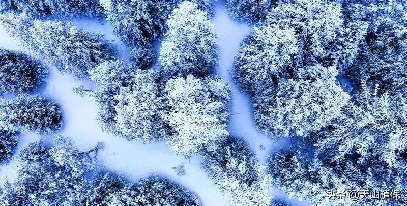 *疆新**克州，向全世界发出邀请！即将涌来大批人马