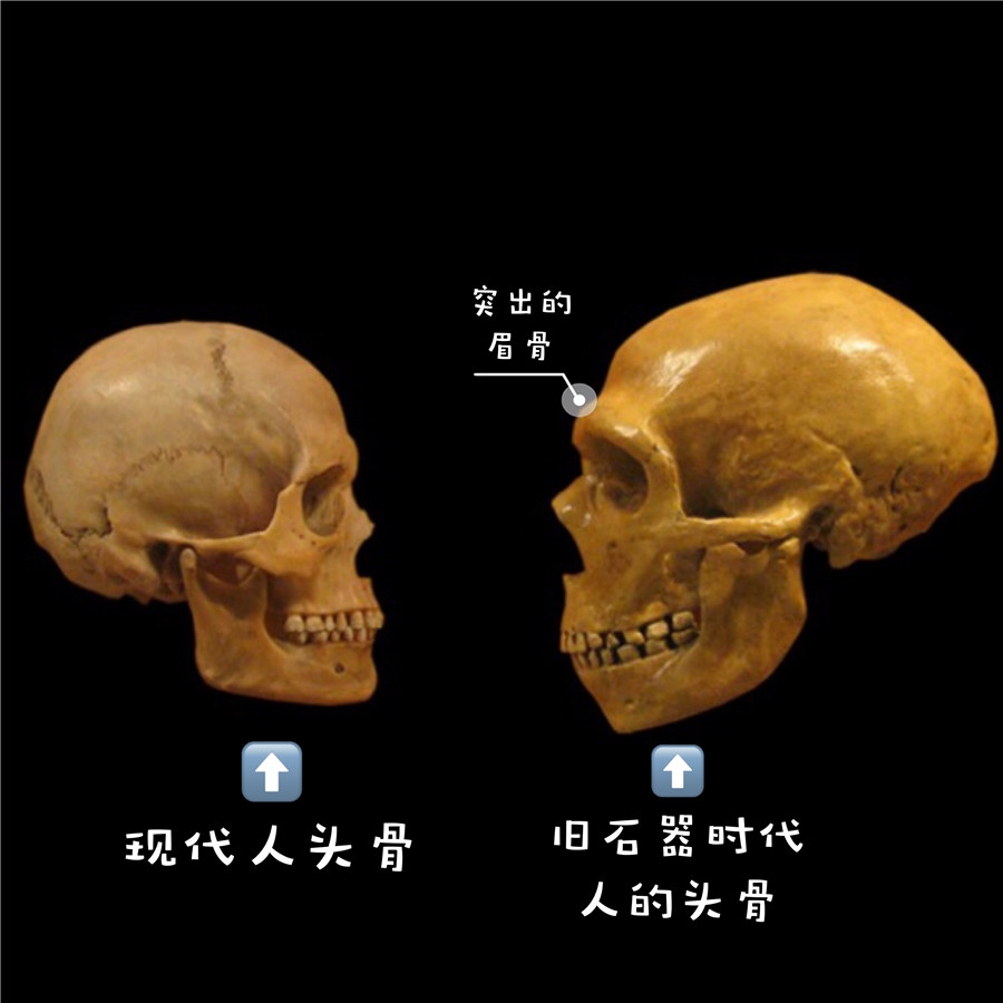 化妆左右眉毛不对称怎么办,化妆常见的眉毛问题