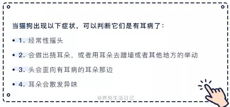 猫狗常用药品大全,猫狗必备药